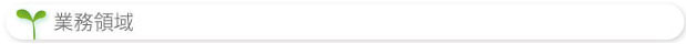 業務領域タイトル